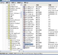 把心爱的人的名字刻在IE浏览器上